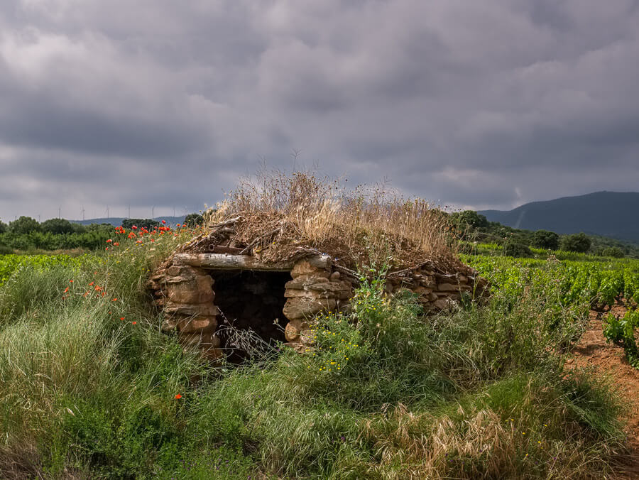 Guardaviñas