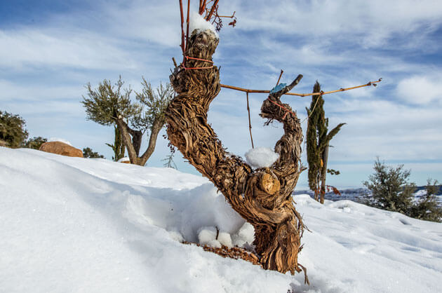 Valle del Cidacos, the climate