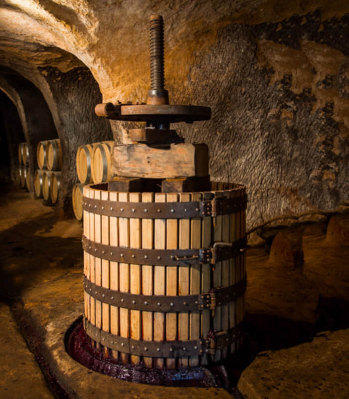 Elaboración de vino en las bodegas queleñas