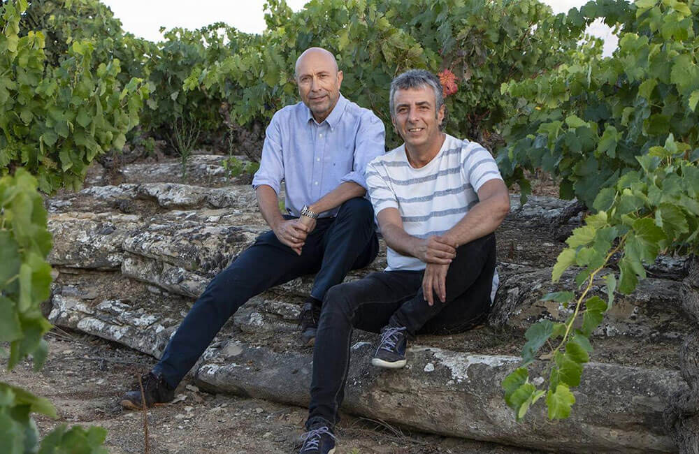 «Vinos Silenciosos», distinguido como el mejor libro de España en los Wine Challenge Merchant Awards