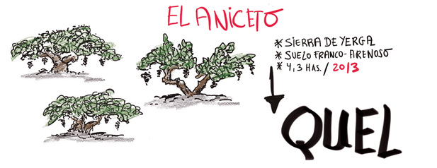 El Aniceto